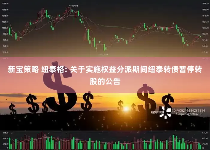 新宝策略 纽泰格: 关于实施权益分派期间纽泰转债暂停转股的公告