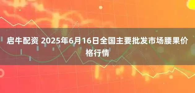 启牛配资 2025年6月16日全国主要批发市场腰果价格行情