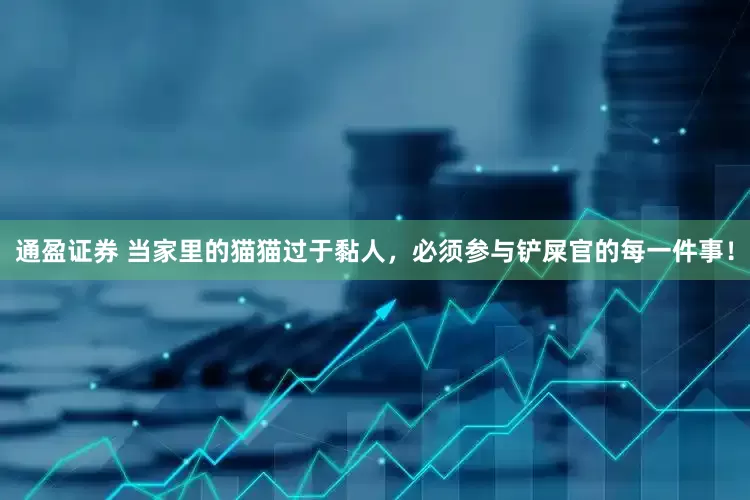 通盈证券 当家里的猫猫过于黏人，必须参与铲屎官的每一件事！